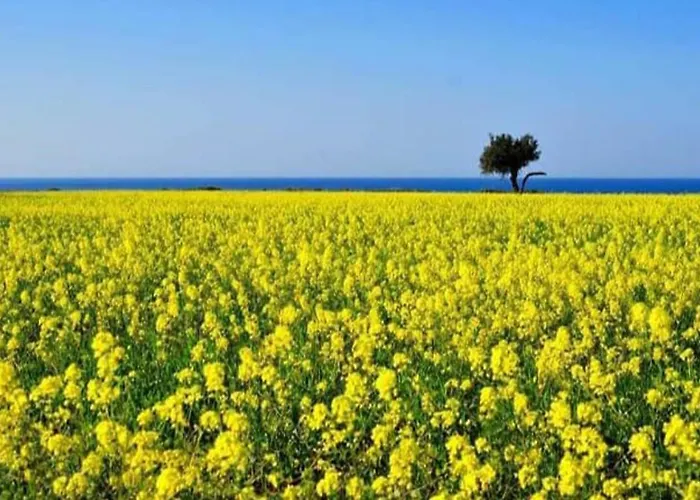 2-bed Sleeps 6 Pool 10min To Apartmán