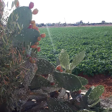 شقة 2-bed Sleeps 6 Pool 10min To *