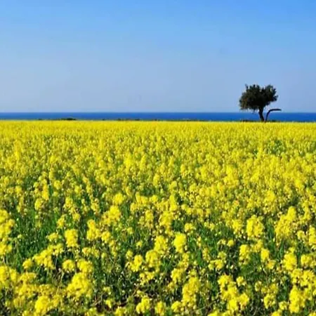 2-bed Sleeps 6 Pool 10min To شقة