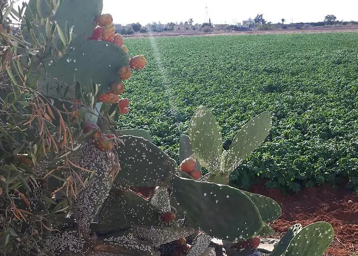 Apartament 2-bed Sleeps 6 Pool 10min To *